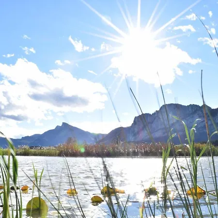 فندق Drachenwand-mondsee 3*