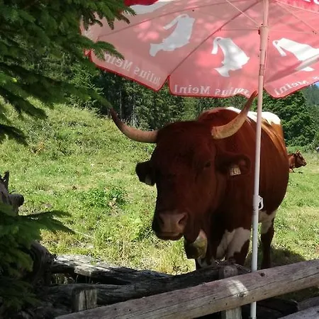 Drachenwand-mondsee Hotel