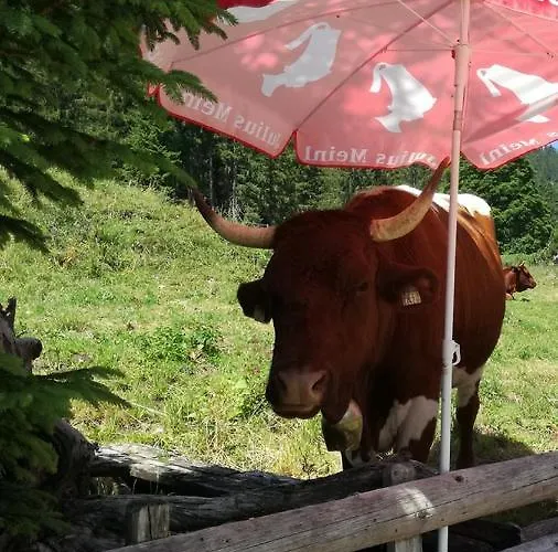 Drachenwand-mondsee Otel