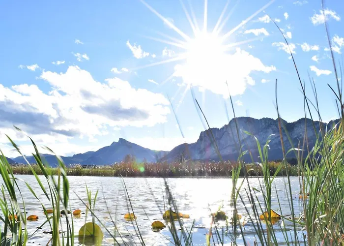 Otel Drachenwand-mondsee 3*